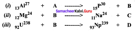 10th Science Nuclear Physics Samacheer Kalvi Chapter 6 Nuclear Physics