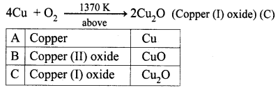Periodic Classification Of Elements Class 10 Samacheer Kalvi 