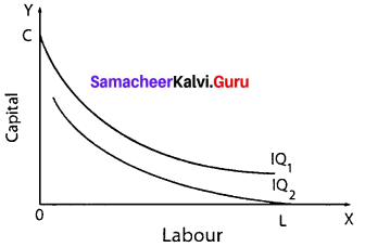 11th Economics Samacheer Kalvi 