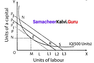 Samacheer Kalvi Guru 11th Economics 