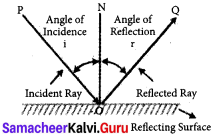 Samacheer Kalvi 7th Science Solutions Term 3 Chapter 1 Light image - 1