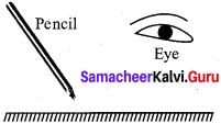 Samacheer Kalvi 7th Science Solutions Term 3 Chapter 1 Light image - 2