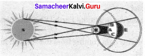 Samacheer Kalvi 7th Science Solutions Term 3 Chapter 1 Light image - 20