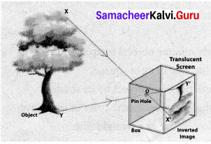 Samacheer Kalvi 7th Science Solutions Term 3 Chapter 1 Light image - 5