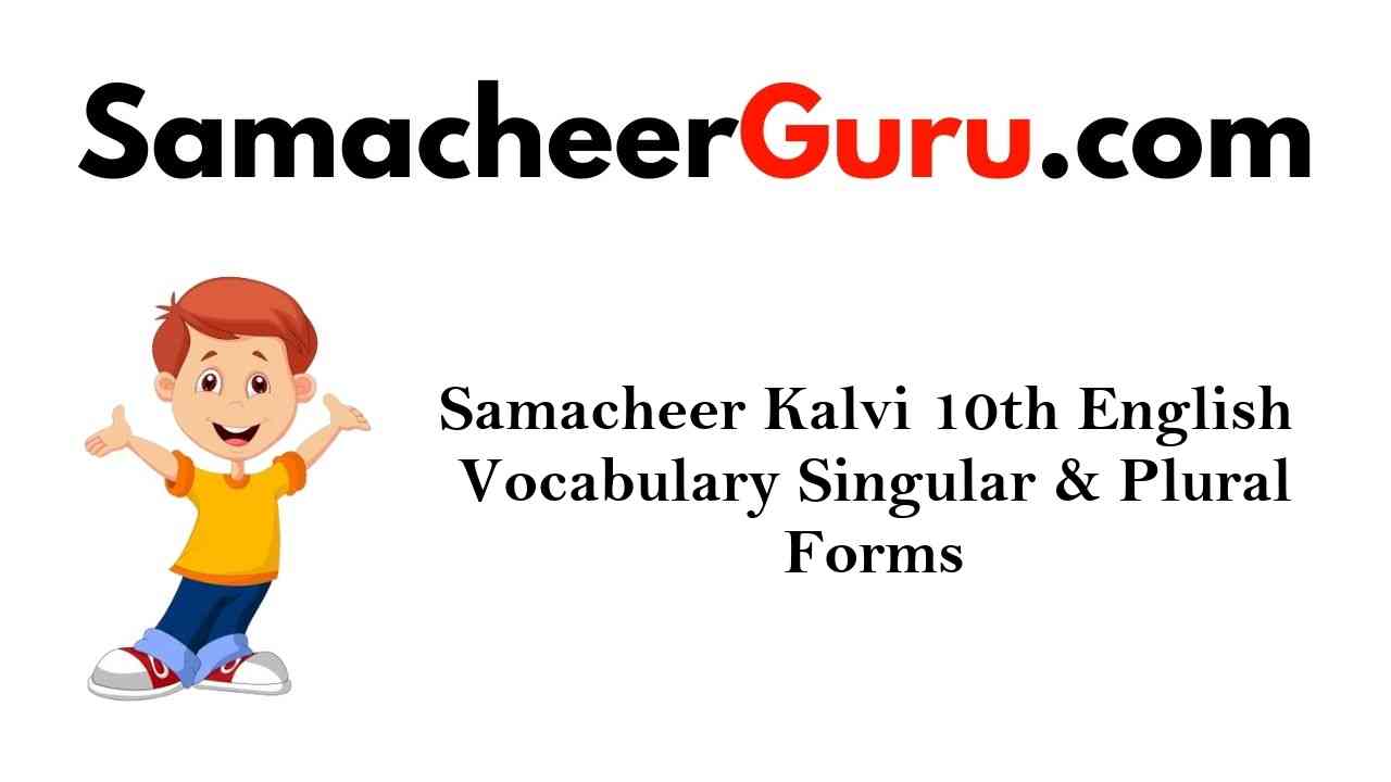 Samacheer Kalvi 10th English Vocabulary Singular & Plural Forms