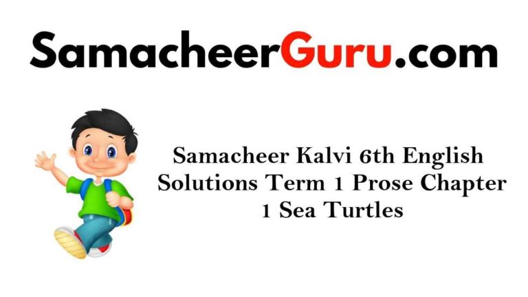 Samacheer Kalvi 6th English Solutions Term 1 Prose Chapter 1 Sea Turtles