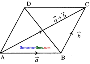 Samacheer Kalvi 11th Maths Guide Chapter 8 கணங்கள், தொடர்புகள் மற்றும் சார்புகள் Ex 8.5 2