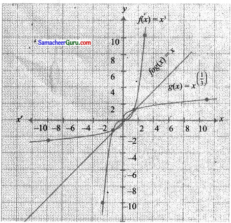 Samacheer Kalvi 11th Maths Solutions Chapter 1 கணங்கள், தொடர்புகள் மற்றும் சார்புகள் Ex 1.4 11