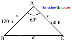 Samacheer Kalvi 11th Maths Solutions Chapter 3 அடிப்படை இயற்கணிதம் Ex 3.10 16