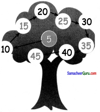 Samacheer Kalvi 3rd Maths Guide Term 1 Chapter 2 எண்கள் 8