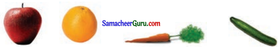 Samacheer Kalvi 3rd Maths Guide Term 1 Chapter 6 தகவல் செயலாக்கம் 1