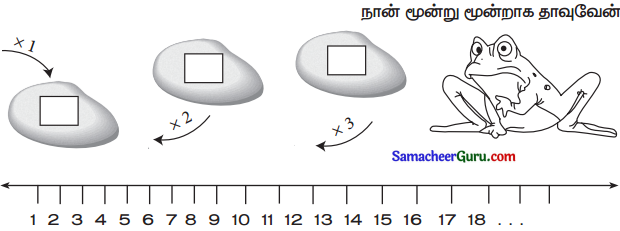 Samacheer Kalvi 3rd Maths Guide Term 2 Chapter 1 எண்கள் 12