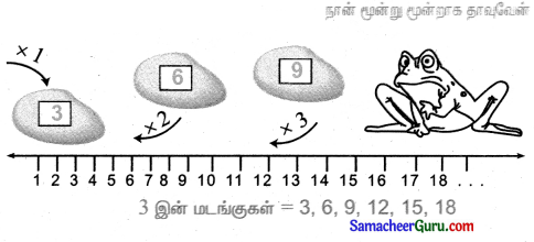 Samacheer Kalvi 3rd Maths Guide Term 2 Chapter 1 எண்கள் 13
