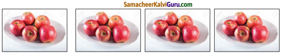 Samacheer Kalvi 3rd Maths Guide Term 2 Chapter 1 எண்கள் 5
