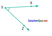 Samacheer Kalvi 6th Maths Guide Term 1 Chapter 4 வடிவியல் Ex 4.2 14