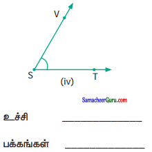 Samacheer Kalvi 6th Maths Guide Term 1 Chapter 4 வடிவியல் Ex 4.2 6