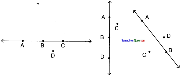 Samacheer Kalvi 6th Maths Guide Term 1 Chapter 4 வடிவியல் Ex 4.3 3