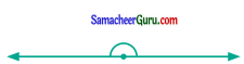 Samacheer Kalvi 6th Maths Guide Term 1 Chapter 4 வடிவியல் Ex 4.4 10