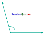 Samacheer Kalvi 6th Maths Guide Term 1 Chapter 4 வடிவியல் Ex 4.4 11