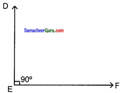 Samacheer Kalvi 6th Maths Guide Term 1 Chapter 4 வடிவியல் Ex 4.4 19