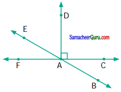 Samacheer Kalvi 6th Maths Guide Term 1 Chapter 4 வடிவியல் Ex 4.4 29