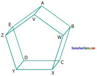Samacheer Kalvi 6th Maths Guide Term 1 Chapter 4 வடிவியல் Ex 4.4 5