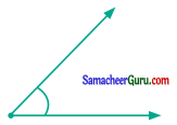 Samacheer Kalvi 6th Maths Guide Term 1 Chapter 4 வடிவியல் Ex 4.4 9