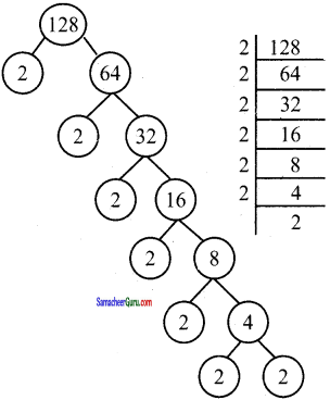 Samacheer Kalvi 6th Maths Guide Term 2 Chapter 1 எண்கள் Ex 1.1 2