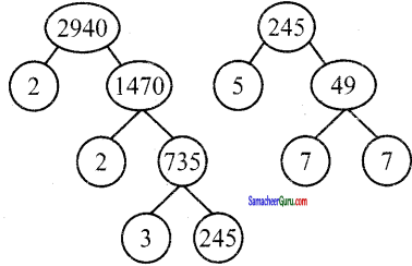 Samacheer Kalvi 6th Maths Guide Term 2 Chapter 1 எண்கள் Ex 1.2 17