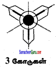 Samacheer Kalvi 6th Maths Guide Term Term 3 Chapter 4 சமச்சீர்த்தன்மை Ex 4.1 4