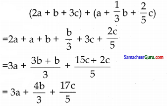 Samacheer Kalvi 7th Maths Guide Term 1 Chapter 3 இயற்கணிதம் Ex 3.4 2