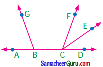 Samacheer Kalvi 7th Maths Guide Term 1 Chapter 5 எண்ணியல் Ex 5.1 1
