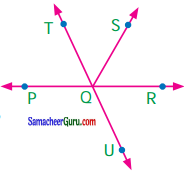 Samacheer Kalvi 7th Maths Guide Term 1 Chapter 5 எண்ணியல் Ex 5.1 7