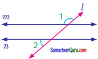 Samacheer Kalvi 7th Maths Guide Term 1 Chapter 5 எண்ணியல் Ex 5.2 1