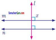 Samacheer Kalvi 7th Maths Guide Term 1 Chapter 5 எண்ணியல் Ex 5.2 11