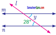Samacheer Kalvi 7th Maths Guide Term 1 Chapter 5 எண்ணியல் Ex 5.2 12