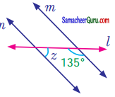Samacheer Kalvi 7th Maths Guide Term 1 Chapter 5 எண்ணியல் Ex 5.2 17