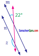 Samacheer Kalvi 7th Maths Guide Term 1 Chapter 5 எண்ணியல் Ex 5.2 19