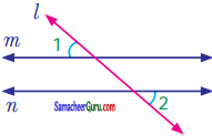 Samacheer Kalvi 7th Maths Guide Term 1 Chapter 5 எண்ணியல் Ex 5.2 2