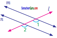 Samacheer Kalvi 7th Maths Guide Term 1 Chapter 5 எண்ணியல் Ex 5.2 3