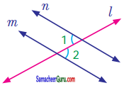 Samacheer Kalvi 7th Maths Guide Term 1 Chapter 5 எண்ணியல் Ex 5.2 5