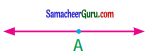 Samacheer Kalvi 7th Maths Guide Term 1 Chapter 5 எண்ணியல் Ex 5.5 5