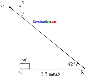 Samacheer Kalvi 7th Maths Guide Term 2 Chapter 4 வடிவியல் Ex 4.2 34