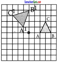 Samacheer Kalvi 7th Maths Guide Term 3 Chapter 4 வடிவியல் Ex 4.1 43