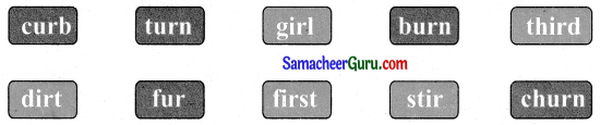 Samacheer Kalvi 3rd English Guide Term 1 Chapter 3 The World Around Us 18