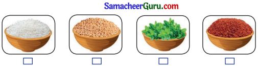 Samacheer Kalvi 3rd English Guide Term 2 Chapter 2 Trip to the Store 25
