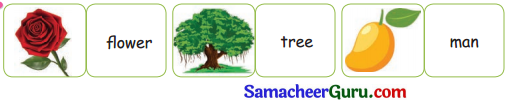 Samacheer Kalvi 3rd English Guide Term 3 Chapter 1 Our Leafy Friends 17