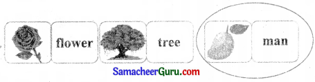 Samacheer Kalvi 3rd English Guide Term 3 Chapter 1 Our Leafy Friends 18