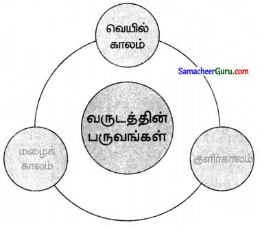Samacheer Kalvi 3rd Maths Guide Term 3 Chapter 6 நேரம் 10