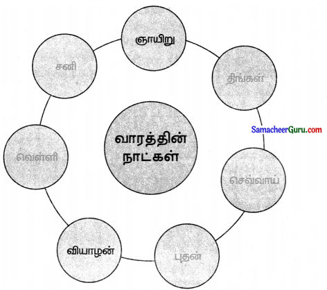 Samacheer Kalvi 3rd Maths Guide Term 3 Chapter 6 நேரம் 8